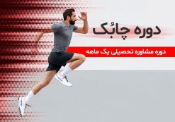 دوره چابک